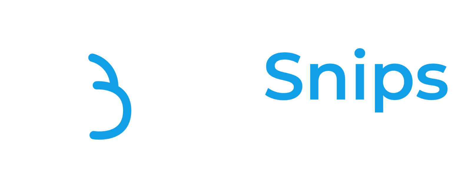 JobSnips