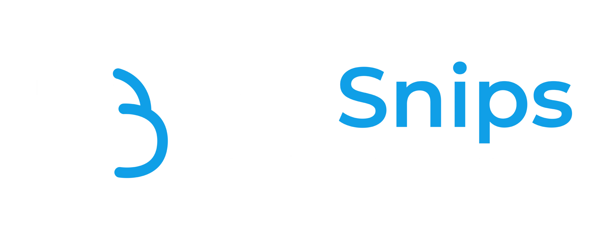 JobSnips